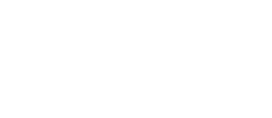 Social Innovation Teams
